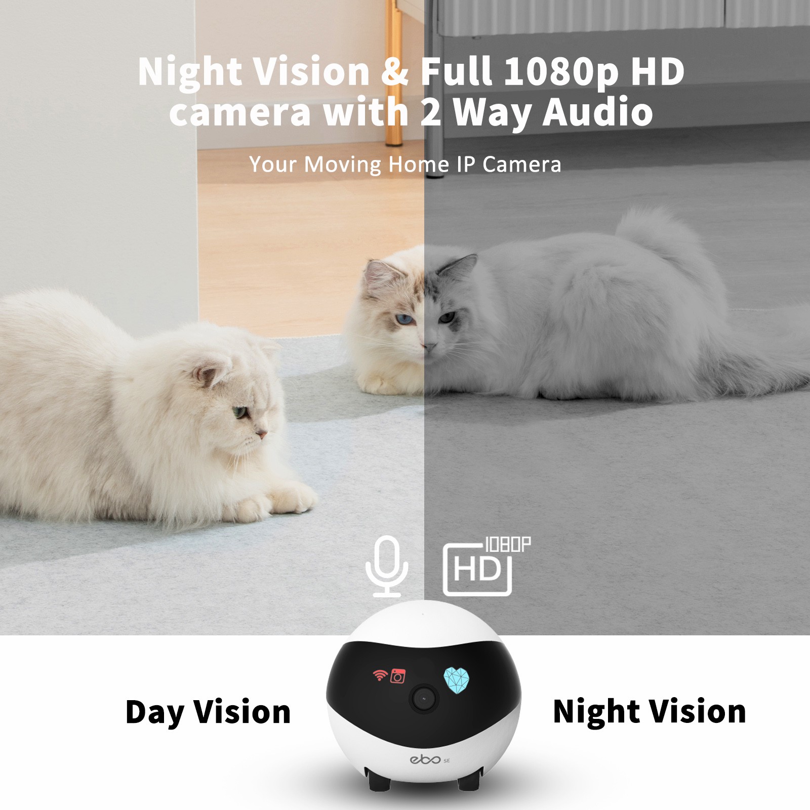 EBO SE Smart Home Robot Compan - Home Security Robot ulasan dan harga