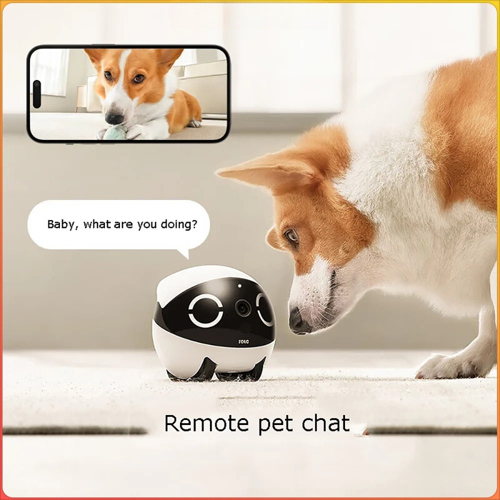 Home Security Pet Tumbler Desi - Home Security Robot ulasan dan harga