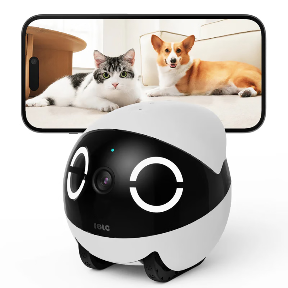 Home Security Pet Tumbler Desi - Home Security Robot ulasan dan harga