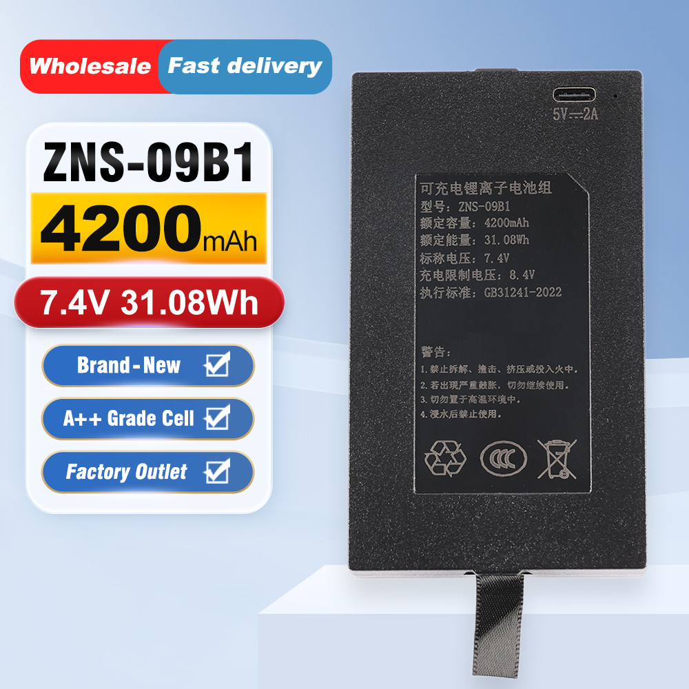 ZNS-09B1 4200mAh C+C- P-P+ Rep - Home Security Battery Replacement ulasan dan harga